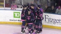 Springfield Thunderbirds vs Providence Bruins 3.7.20 Highlights