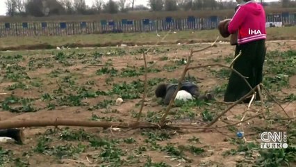 Suriyeli minik mültecinin ağır yükü