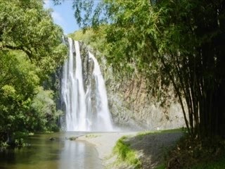 Ragga mania ***vieux fanm la***