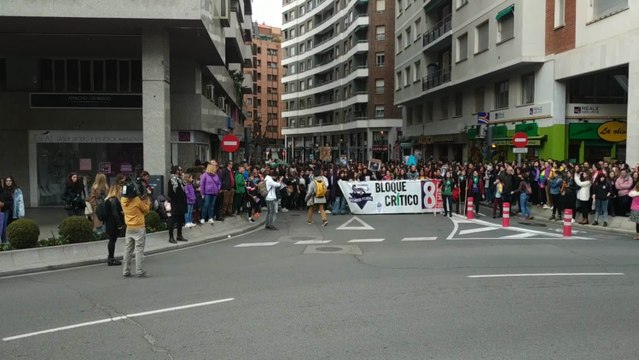 Una multitudinaria manifestación recorre Logroño por la igualdad