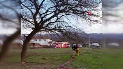 Tarihi çınar ağacı alevlere teslim oldu