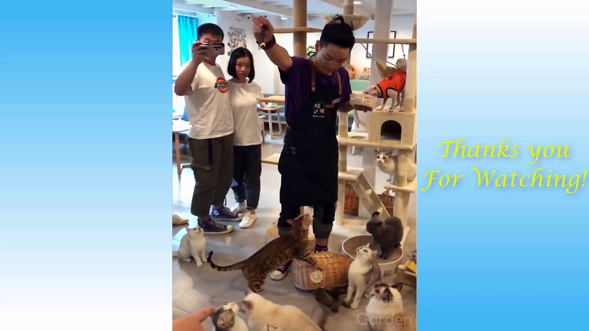 Cute Pets And Funny Animals Compilation