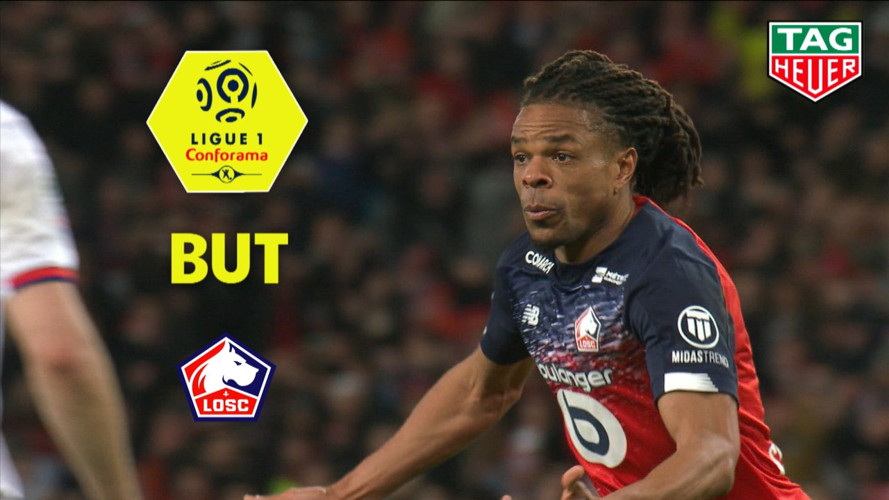 But Loïc REMY (33ème) / LOSC - Olympique Lyonnais - (1-0) - (LOSC-OL) / 2019-20