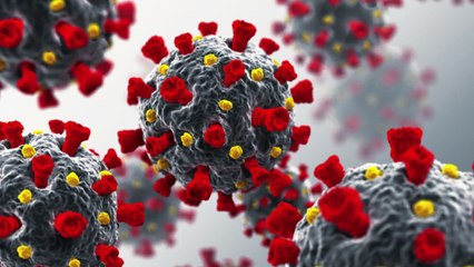 Stamford Cancels In-Person Classes