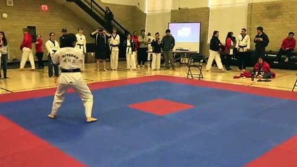 Lana Luong Taebaek vs Cornell PA2