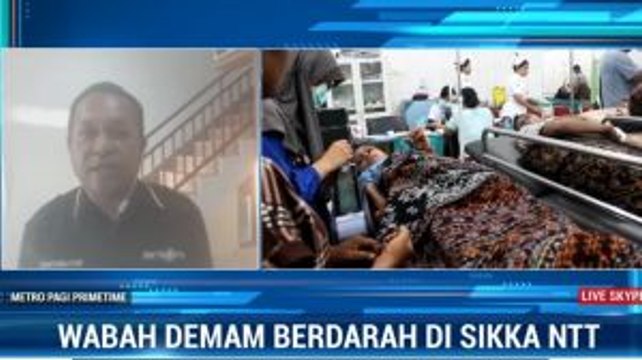 Pasien DBD Membludak, RS di Sikka Kekurangan Obat dan Tenaga Medis