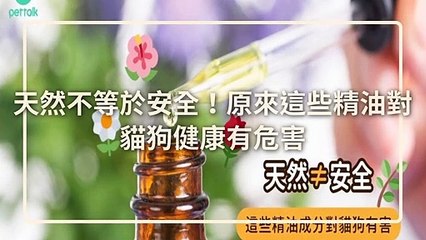 CollectionVideo-petmao_curation-petsmao.nownews|petmao_curation_mobile-copy1-PetsMaoParser-2020/03/09-09:30