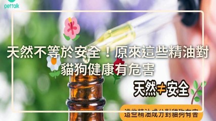 CollectionVideo-petmao_curation-petsmao.nownews|petmao_curation_mobile-copy3-PetsMaoParser-2020/03/09-09:30