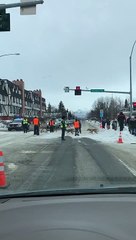 Traffic Stops for Dog Sled Race