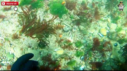 Dedektör ile Altın Arama Altın buldum-TREASURE SEARCH AT SEA
