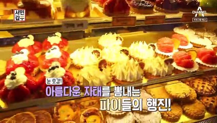 [예고] 엄마의 손맛보다 맛있는 청년의 손맛! 수제 파이로 연 매출 15억!