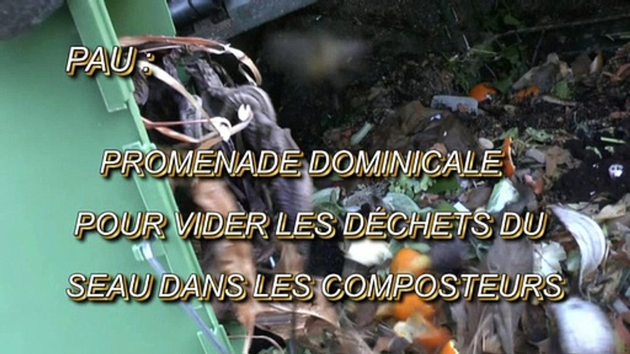 LES W-D.D. MICHOU NEWS - 1er MARS 2020 - PAU - PROMENADE DOMINICALE POUR VIDER LES DÉCHETS DU SEAU DANS LES COMPOSTEURS