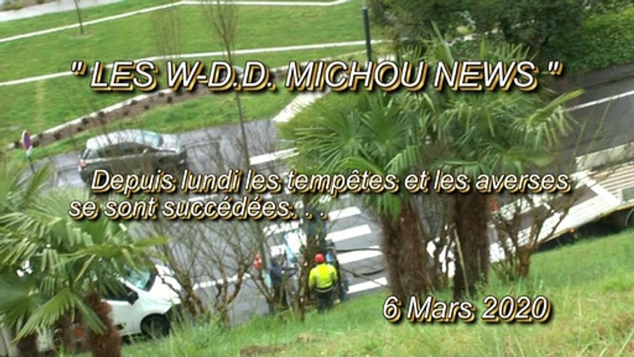 LES W-D.D. MICHOU NEWS - 6 MARS 2020 - PAU - TRAVAUX RENDUS NÉCESSAIRES PAR LA SUCCESSION DES TEMPÊTES