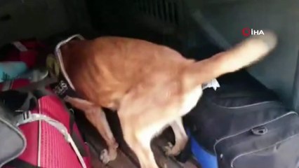 Valizin kasnağında 2 kilo 240 gram metamfetamin ele geçirildi