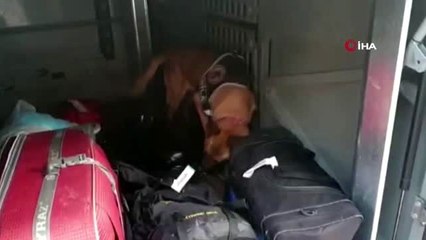 Valizin kasnağında 2 kilo 240 gram metamfetamin ele geçirildi