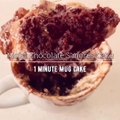 S'mores Moist Chocolate Mug Cake