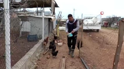Adıyaman'da ilginç yumurta görenleri şaşırtıyor