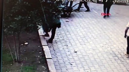 Zehirlenen 2 yavru köpek telef oldu