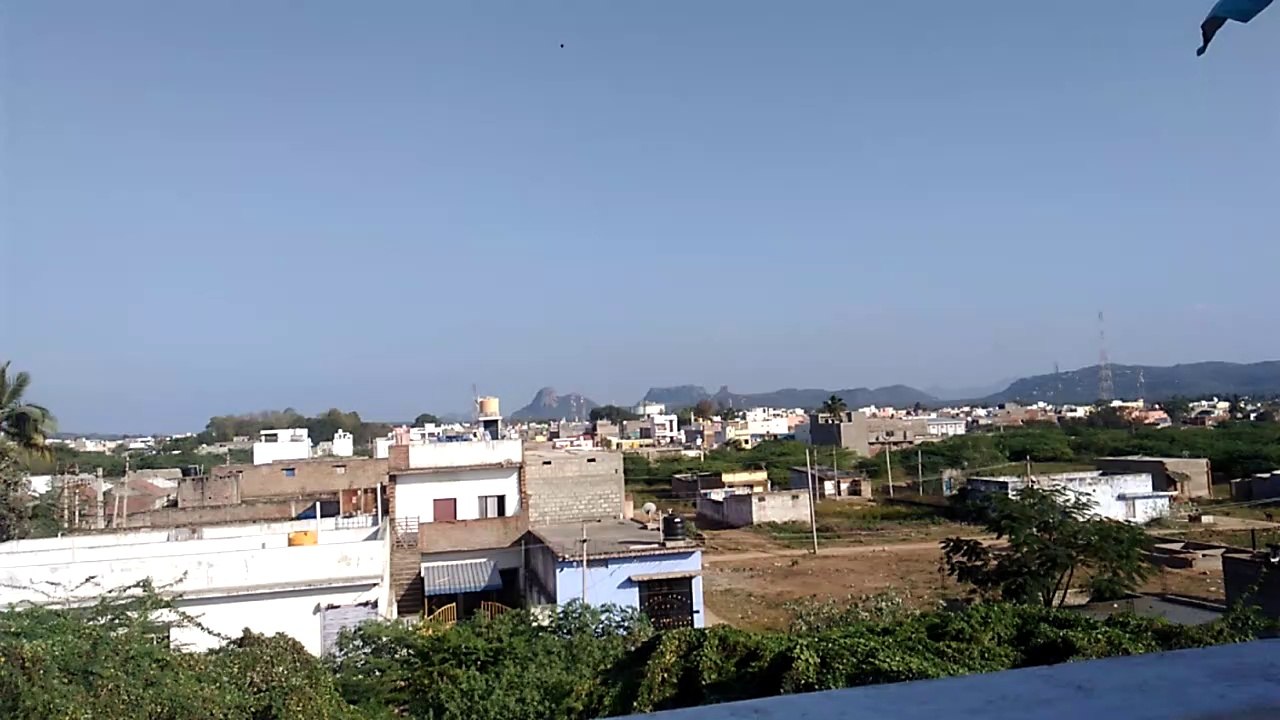 Terrace VLOG 2020