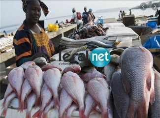 ZikFM - Invité Dr Aliou Ba Green (Peace Africa) - Lundi 09 Mars 2020