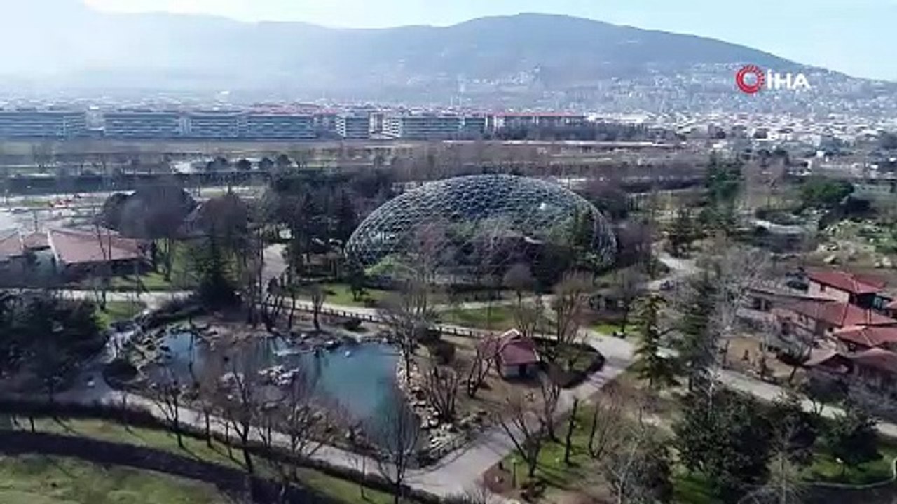 Hayvanat bahçesinde yavru sevinci