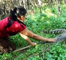 Woman finding eggs crocodile. See what happened next.