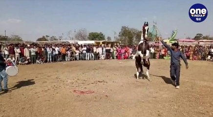 घोड़ों के डांस ने सबका मन मोह लिया, देखिए
