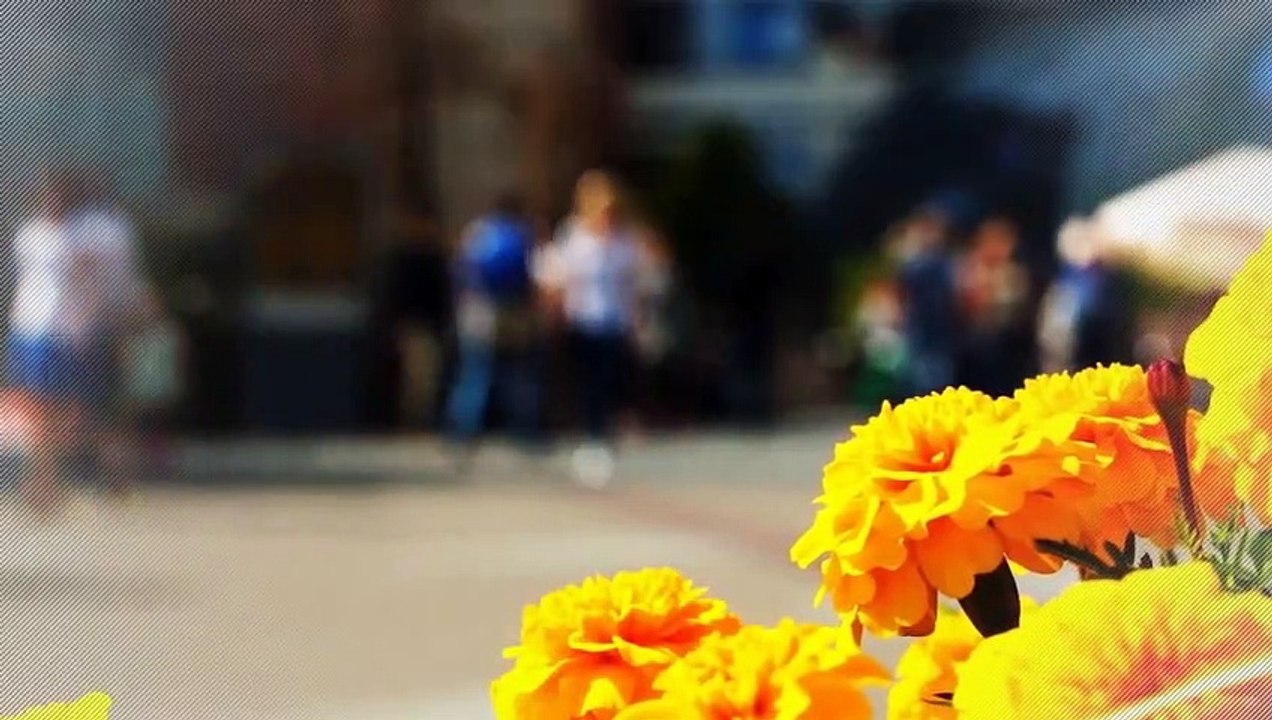 A vendre - Appartement - VANDOEUVRE LES NANCY (54500) - 5 pièces - 92m²