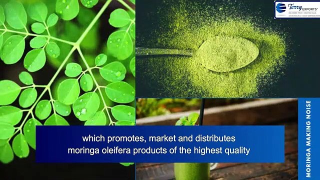 Terry Exports LLP - Moringa Exports Specialized Firm. Corporate Video