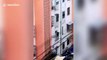 Neighbours save toddler hanging from fourth-floor window in China