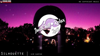 Relaxing LoFi Music for Studying & Chilling | Silhouette (2020) 🎶