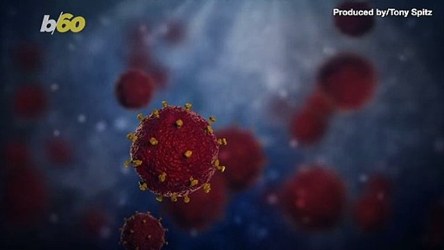 Man Celebrates the Gift of Bathroom Tissue Amidst ‘Toilet Paper Apocalypse’