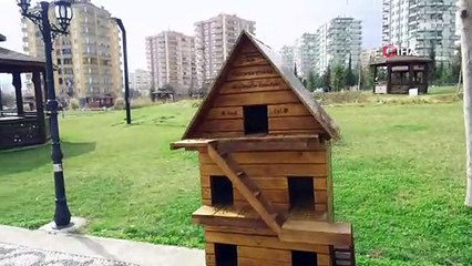 Sokak kedileri için sıcak yuva