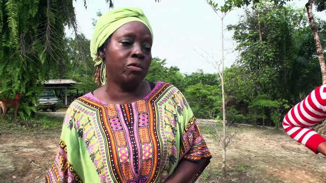 Bande-annonce du film Visions Chamaniques