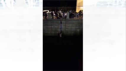 Ce chat a été sauvé de la noyade