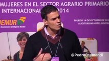 Pedro Sánchez en 2014: 
