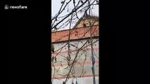 Further footage shows inmates climb roof of Milan prison in protest against coronavirus emergency lockdowns