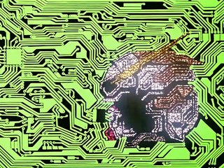 damon cash and his girl go dutch 14