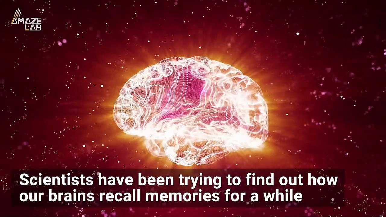 Scientists Observe Brains Replaying Memories in Real Time