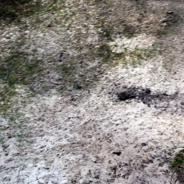 Disparition d'Estelle Mouzin :  La carrière de sable qui n'a pas encore livré tout ses secrets