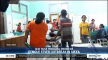 Dengue Fever Outbreak in Sikka