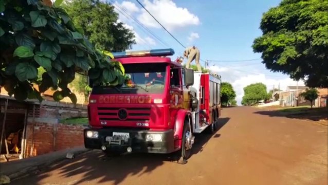 Cachorro cai em buraco de cinco metros e bombeiros fazem resgate