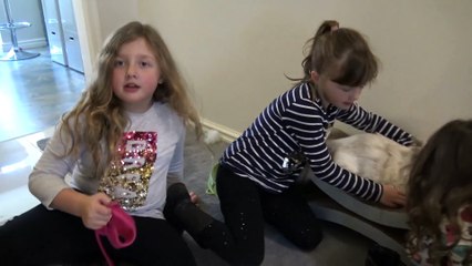 Sophia, Isabella e  Alice  Brincando com Gatinho no Quintal
