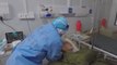 Descienden a menos de 20 los nuevos casos confirmados de coronavirus en China