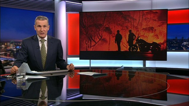 Helping animals return to the wild following the deadly Australian bushfires