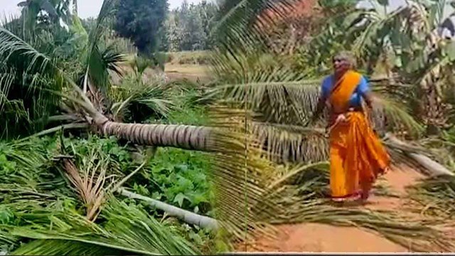 ಇವರು ನಿಜವಾಗಿಯೂ ಮನುಷ್ಯರೇ ಅಲ್ಲ. | Deforestation | Gubbi | Trees Cutdown | Oneindia Kannada