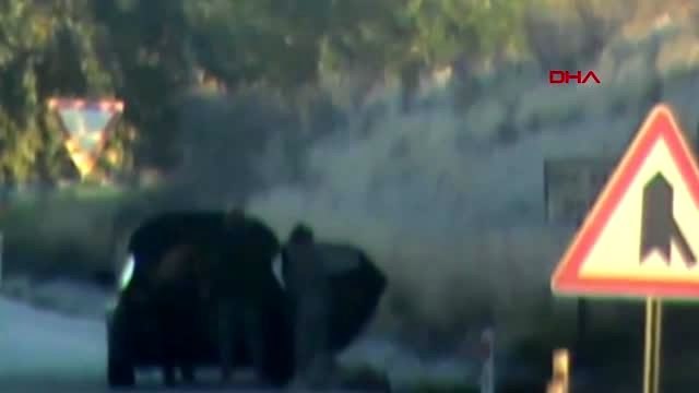 ADANA Fuhuş çetesi film gibi operasyonla çökertildi: Polis, pazarcı ve çöpçü olmuş