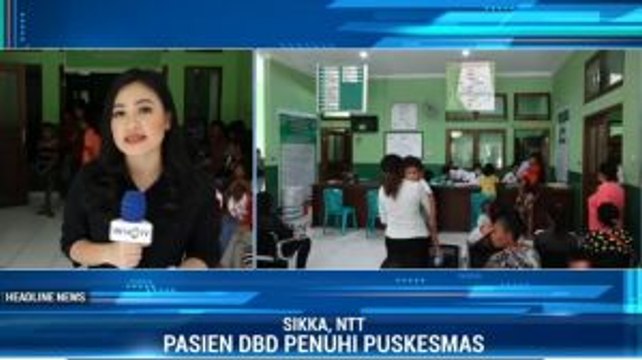Pasien DBD Meningkat, Puskesmas di Sikka Kekurangan Tenaga Kesehatan