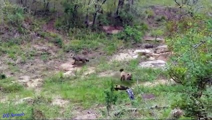 미니선물업체 KU15.CC - 동영상