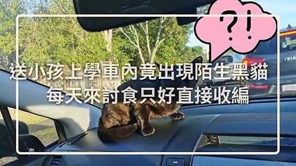 petmao_curation-petsmao.nownews|petmao_nownews-copy3-20200310-09:30